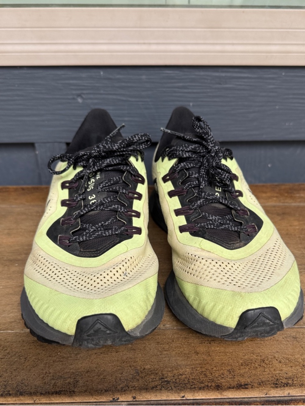 Nike Pegasus Trail Green Sneakers